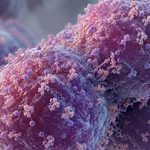 Celulas microscopicas en detalle