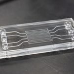 Chip microfluidico transparente en laboratorio