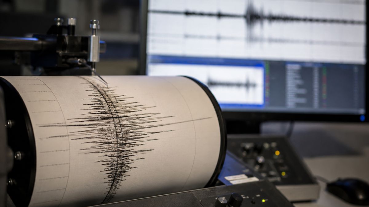 Monitor sismico con trazos de terremotos