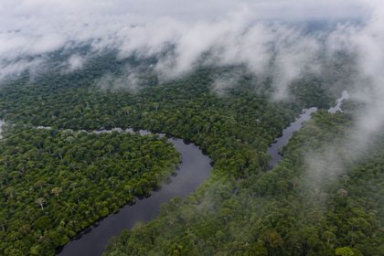 Selva tropical entre rios y niebla