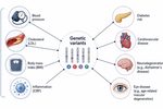 Variantes geneticas y riesgos asociados