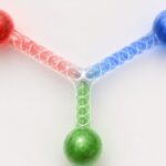 quarks